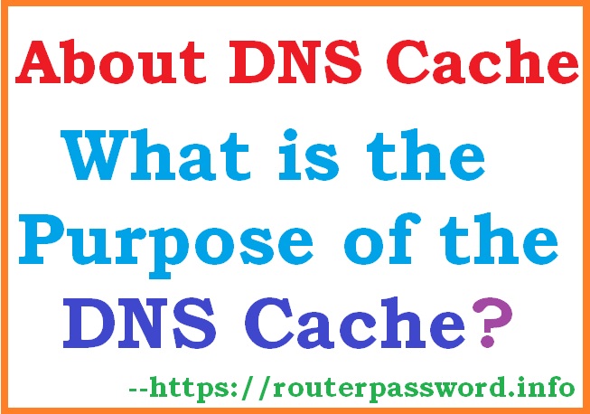 What is the Purpose of the DNS Cache